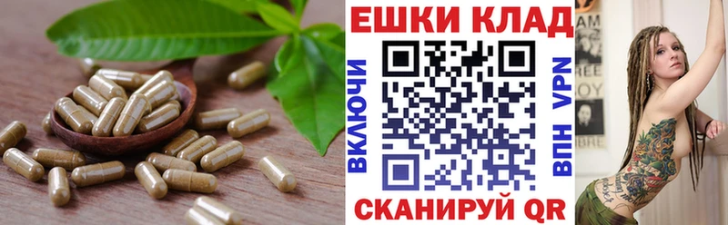 Купить где  Новое Девяткино  Экстази XTC 