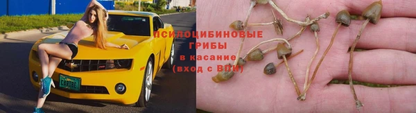гидропоника Баксан