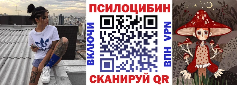 Псилоцибиновые грибы прущие грибы Новое Девяткино